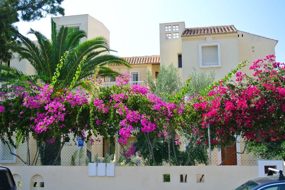 Apartamentos Venecia Roquetas de Mar Exterior photo